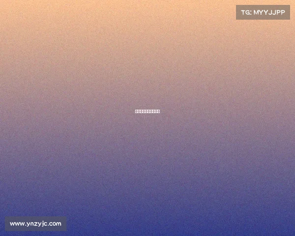 新加坡玩家对战冠军赛